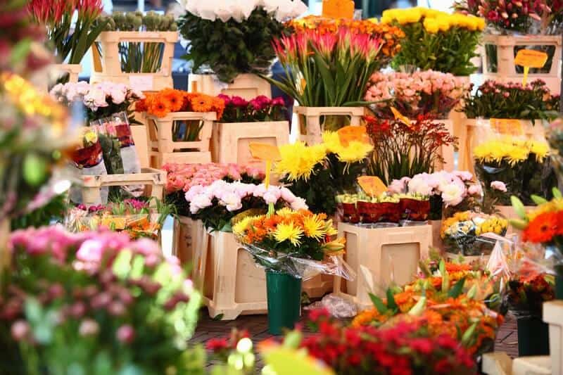שוק הפרחים באמסטרדם